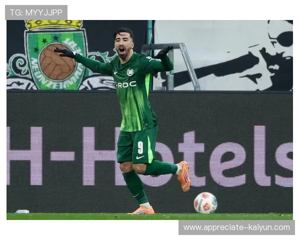 沃尔夫斯堡足球俱乐部的历史成就与未来发展展望